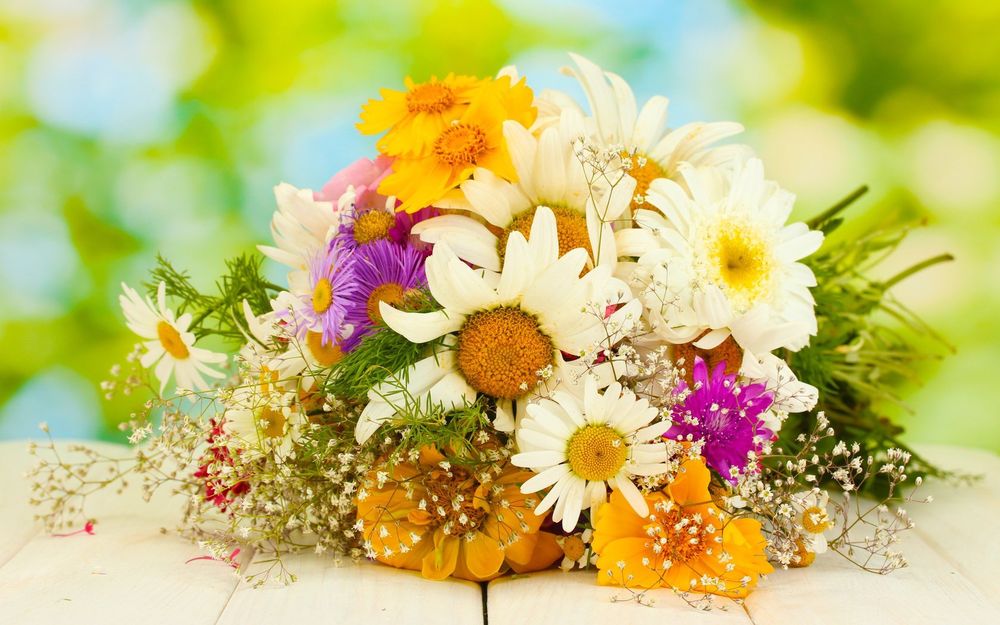 402670_buket_romashki_gerbera_1680x1050_www.GdeFon.ru_.jpg.jpeg