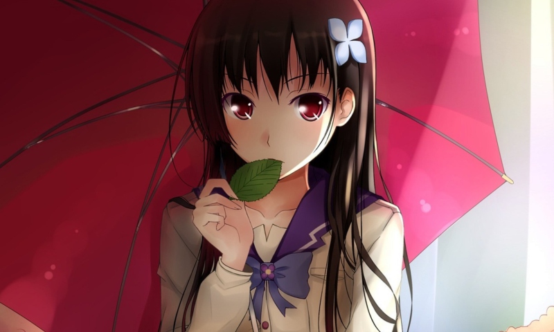 43457_Sankarea-800x480.jpg.jpeg