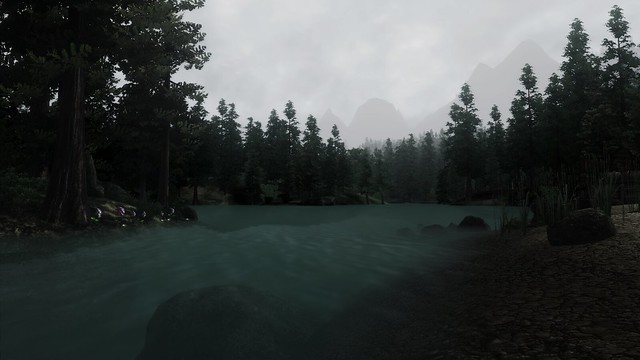 44014566351_5961942933_z.jpg.jpeg