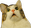 440d33522c1f0bdb0233fb0e29651b4e.PNG.webp.png