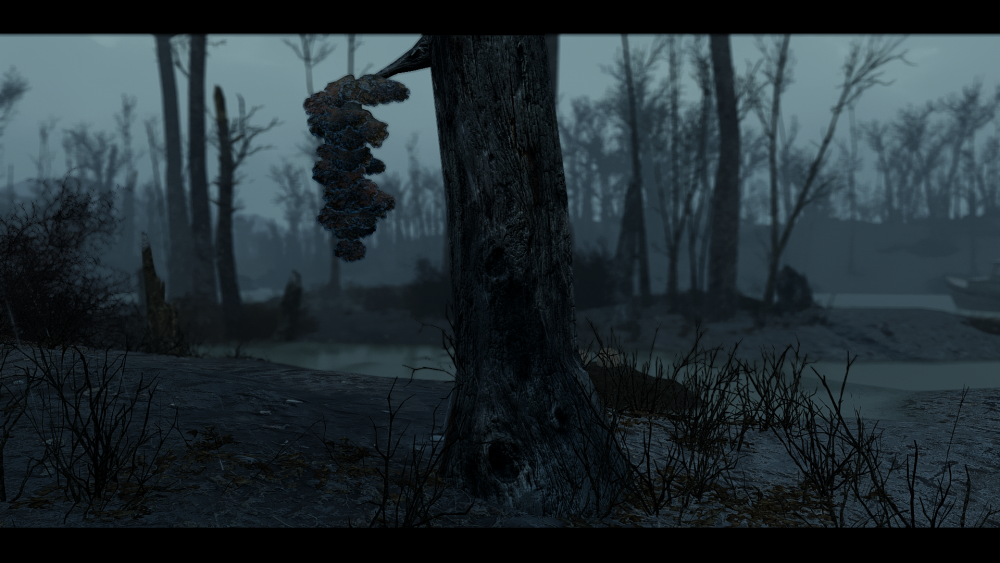 441181ab89c2.png.webp.png