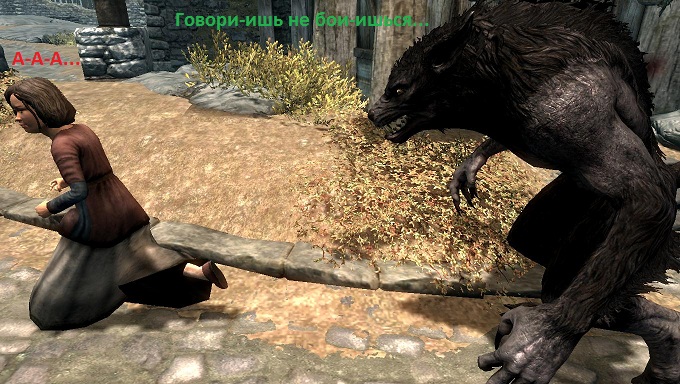 467eecf31885.jpg.jpeg