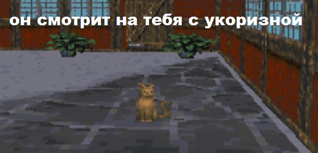 47334fc668fa.jpg.jpeg