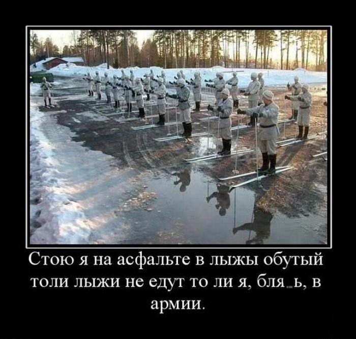 49011565390982934.jpg.jpeg