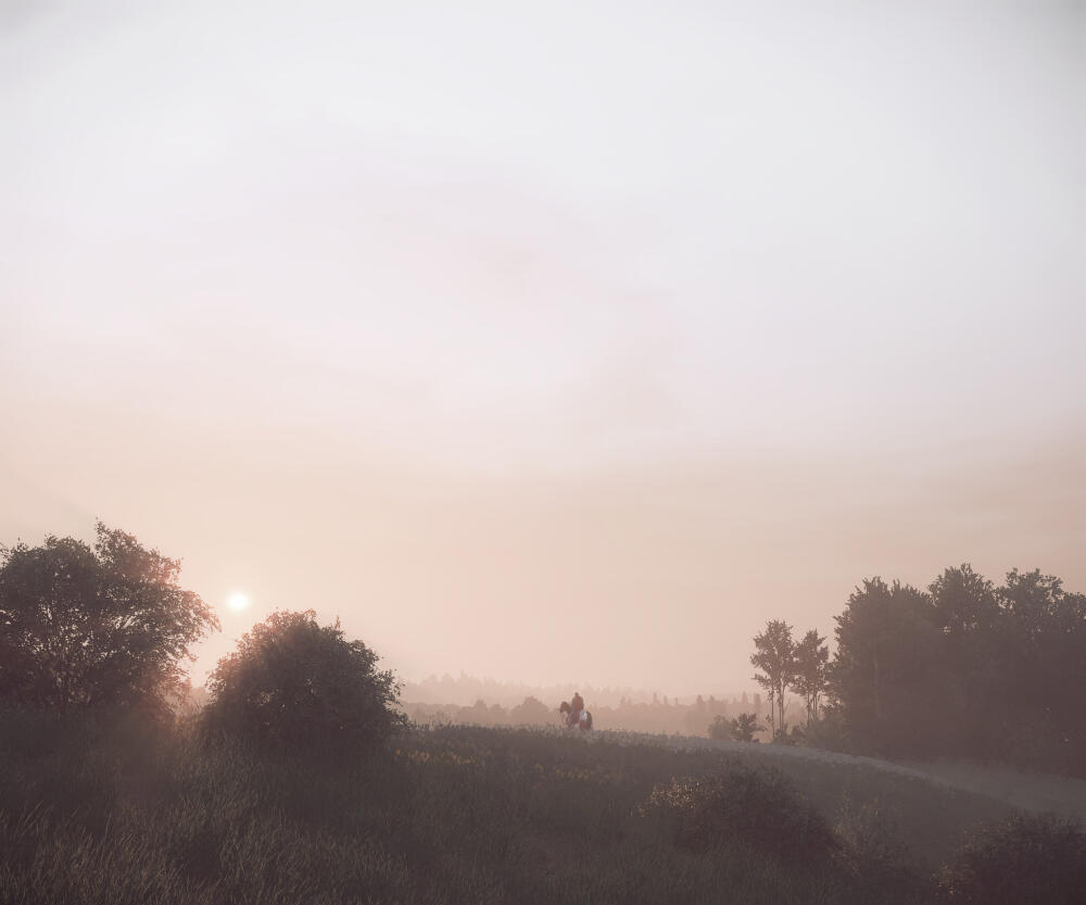 49093444873_d644750ffc_k.jpg.jpeg