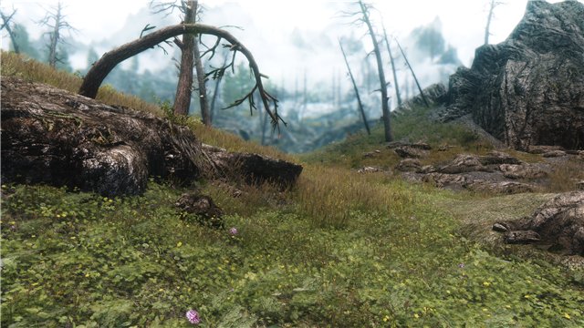 4a3bf36fc647t.jpg.jpeg