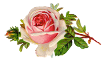 4ad7ac415b49e848b7398d942a9e20a7.png.png