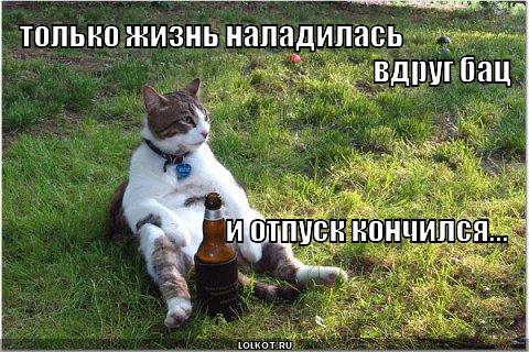 4b0ac485f93bdbfd73e00c8ec27c8d52_b83fb2c6c00c43e2b827e17ab48df1e7.jpg.jpeg