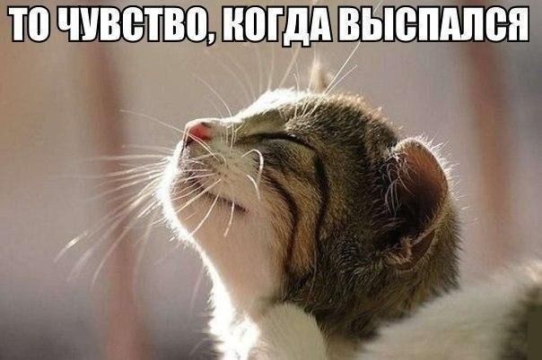 4d24b8c17bef2267214bec370400f969.jpg.jpeg