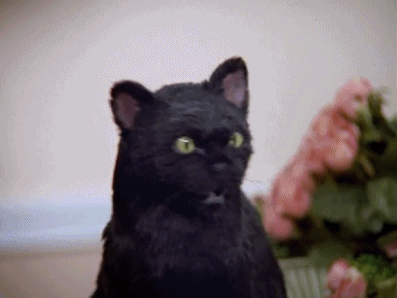 4EADBCA44.gif