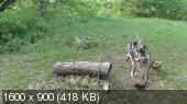 _4f9a08f391b391b4fc6d01d215774656.jpg.jpeg