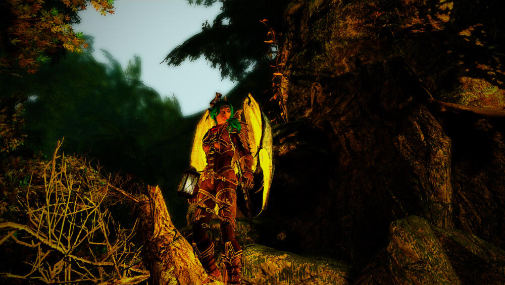5_hd_tree_3.jpg.jpeg