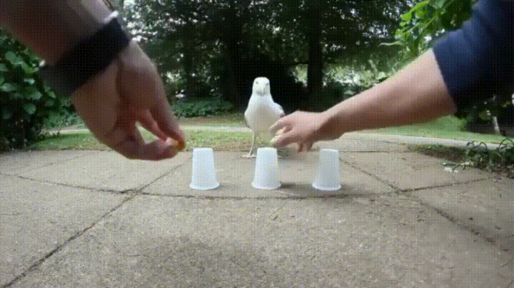 53f6bcb846f5.gif