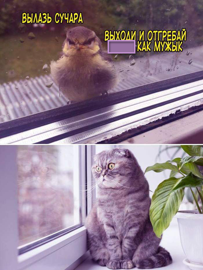 576875172aad237e1147fc416f901eff.png.png