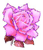 59a165581f6357bca18db7edc1eefa61.gif