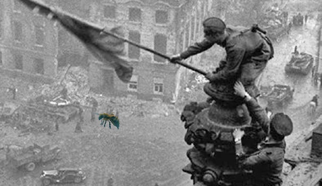 5b298685b72d463bf05880764c98fe65.jpg.jpeg