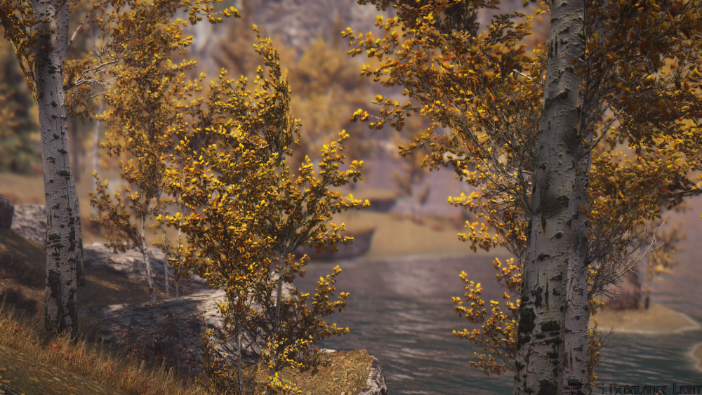 6316f0943a1b.png.webp.png