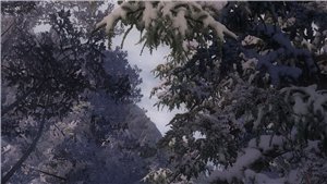 6789caa994d3t.jpg.jpeg