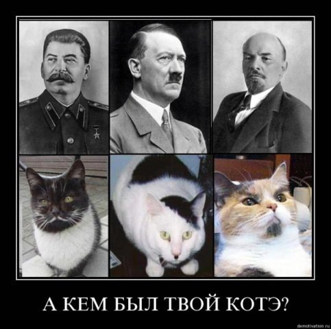 6c2eb1a6f2c6ceae7ffc7a2544aa36e8.jpg.jpeg