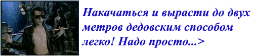 6c6efc0b28788943.png.png