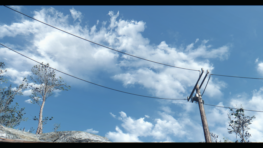 6e137c914c7c.png.webp.png