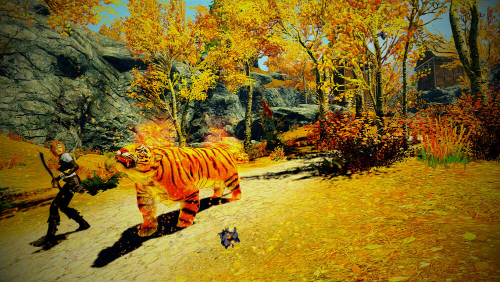 7_hd_tiger_aspect.jpg.jpeg