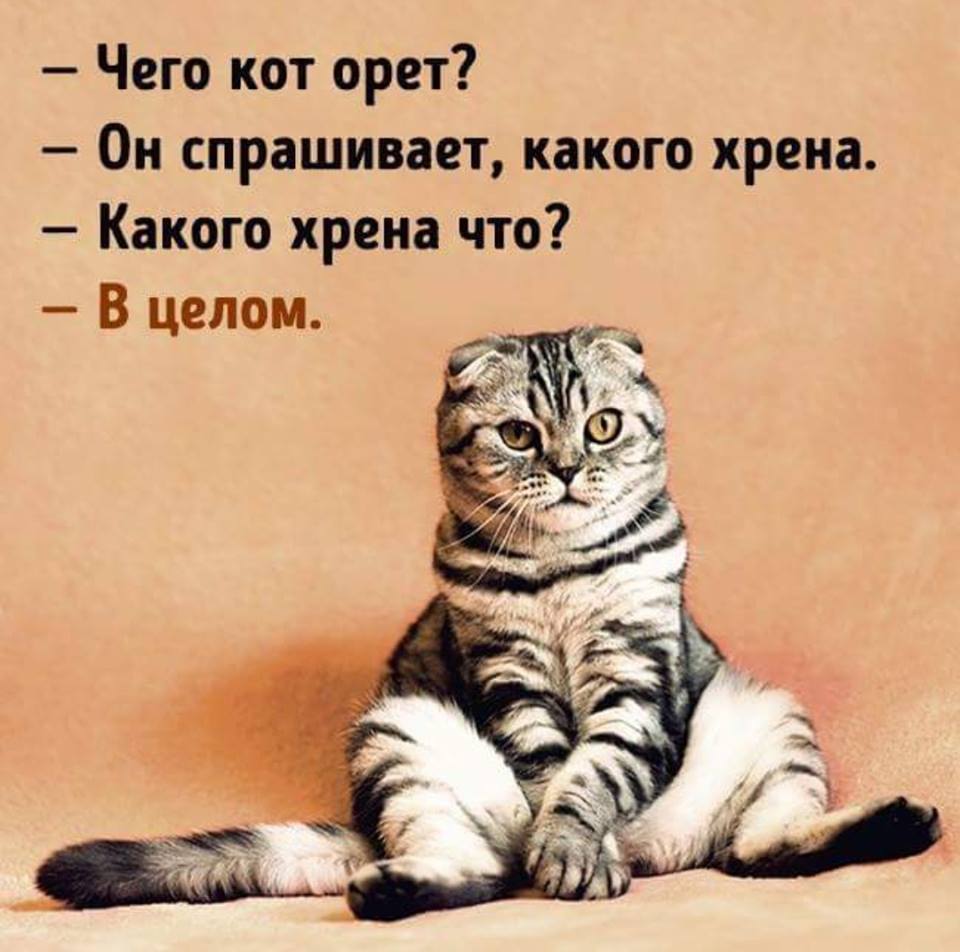 7287c2d5d947922207343ecc80ccd6af.jpg.jpeg