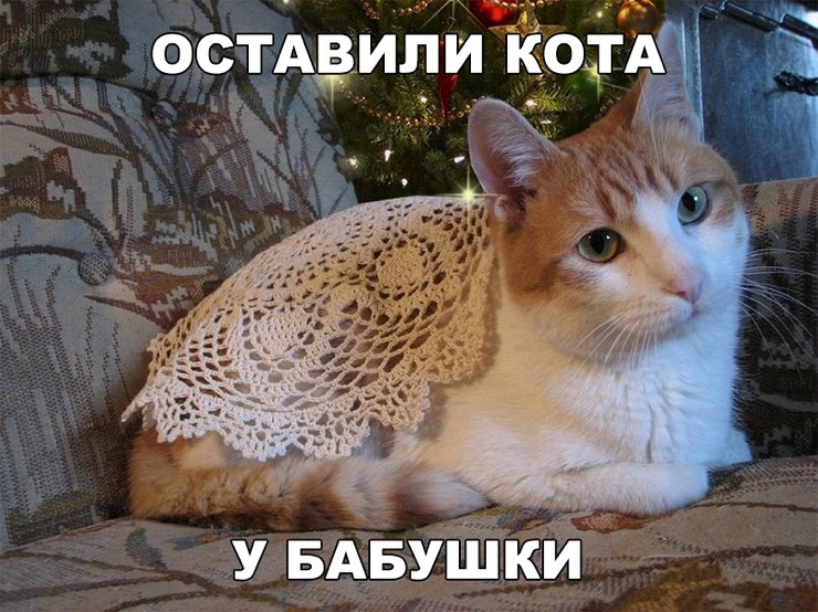 733d889f_resizedScaled_740to554.jpg.jpeg
