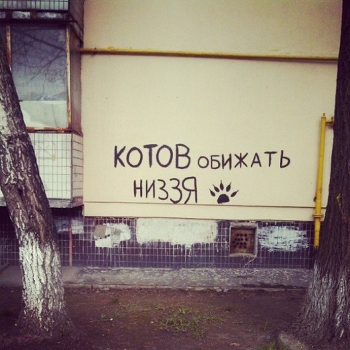 7504.jpg.jpeg