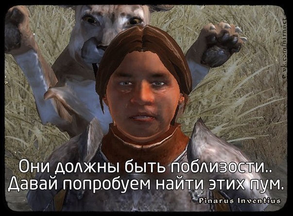 764b612806ac.jpg.jpeg