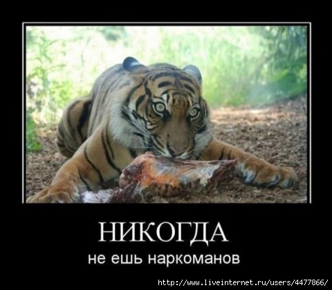 77209691_77072960_39.jpg.jpeg