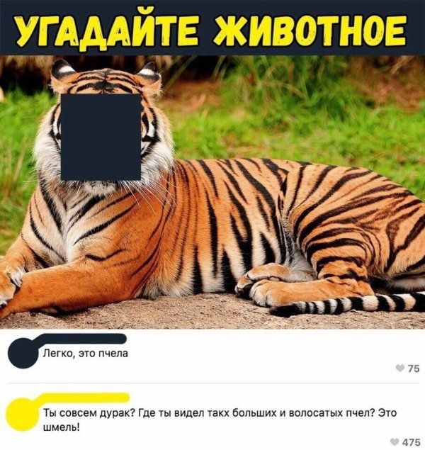 7777777-14716e166c5977792802ab9339b862a4.jpg.jpeg