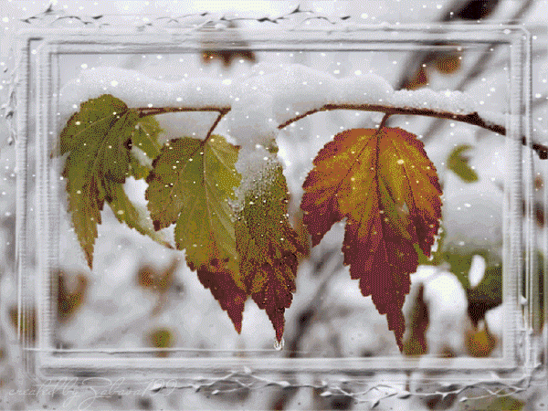 78721710_4080226_5fd3a5889334.gif