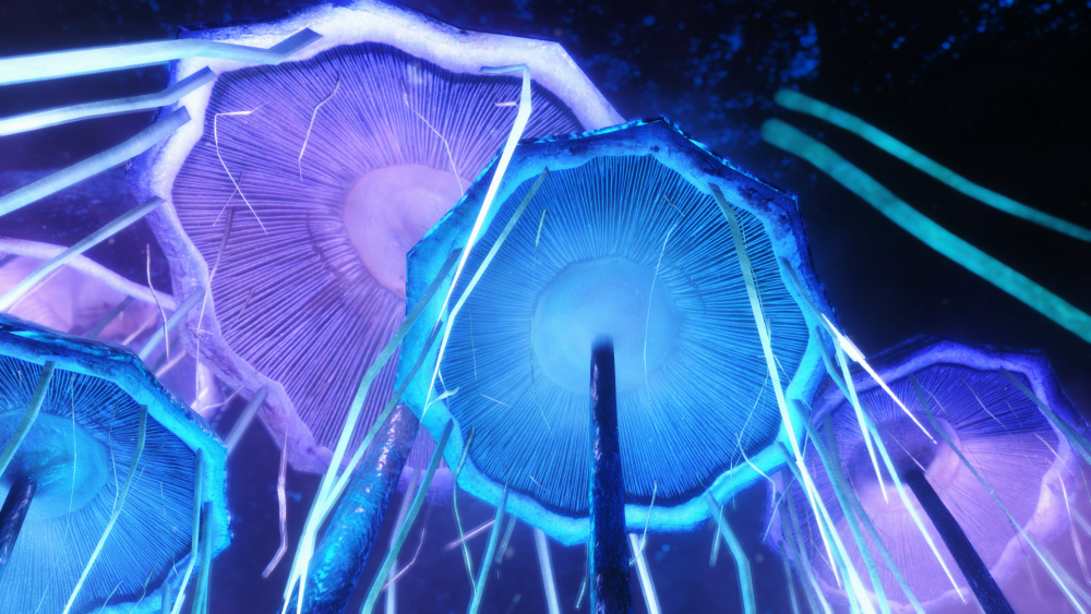 78a291c47e73.png.webp.png