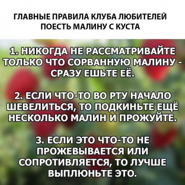 7c06965db6a670ab9c4367d1d22d4c24.jpg.jpeg
