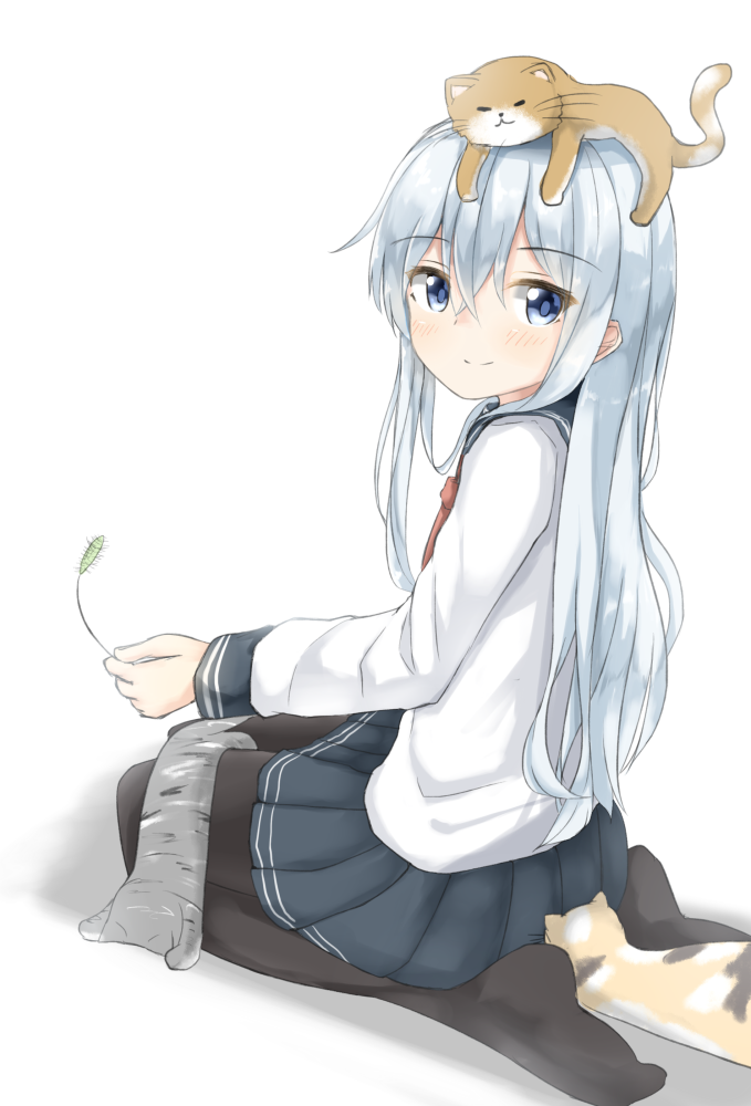 7fb62868a647.png.png