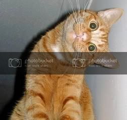 80125129_1321433496_2cfcbe2efc295d42e3b68faee477b805.jpg.jpeg