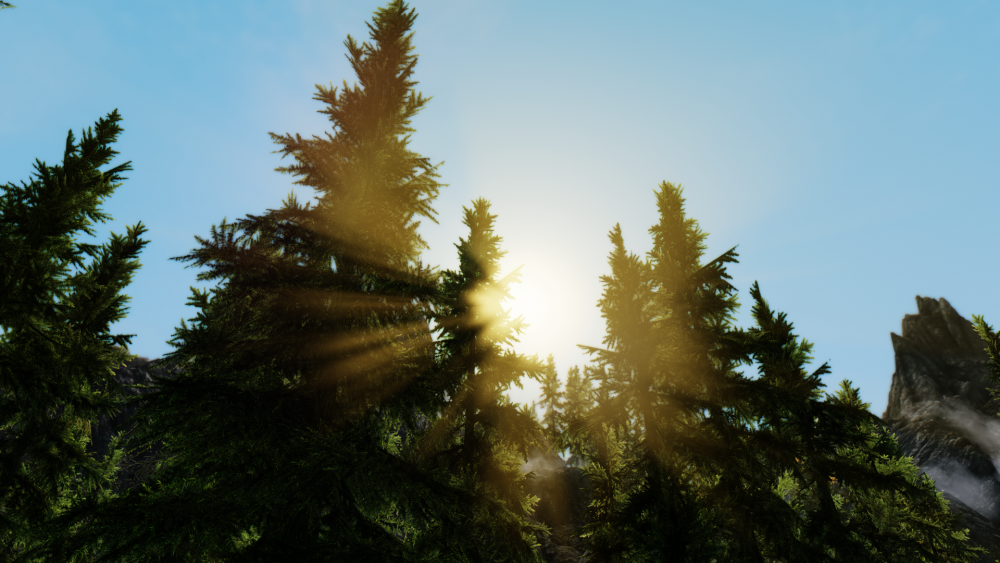 813b092e54b6.png.webp.png