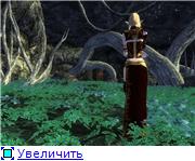 82fe26098182t.jpg.jpeg