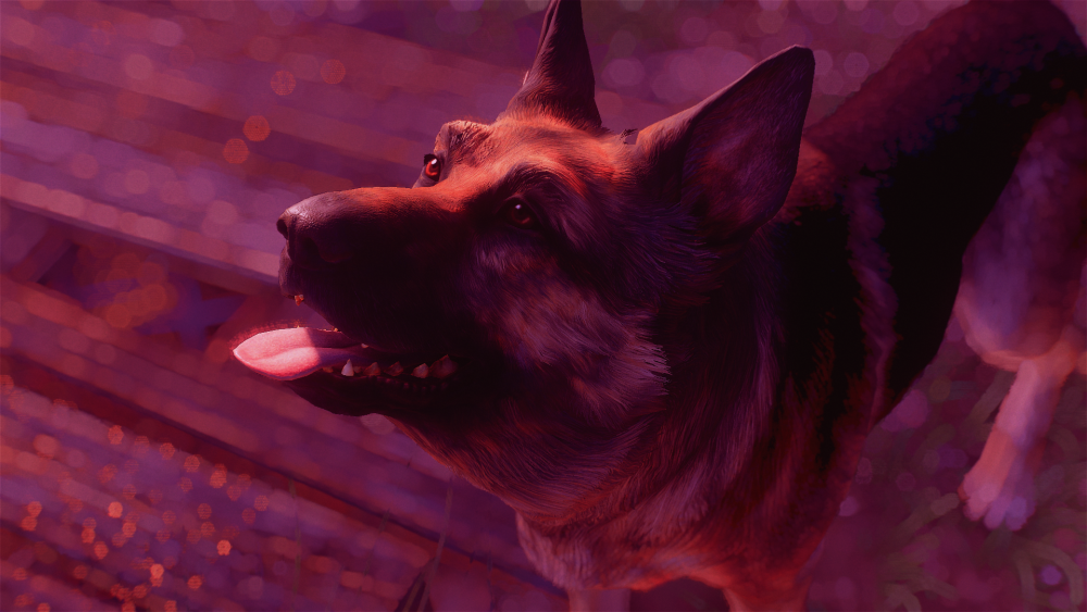 836cbb4f8143.png.webp.png