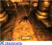 83e5bf681ff5t.jpg.jpeg