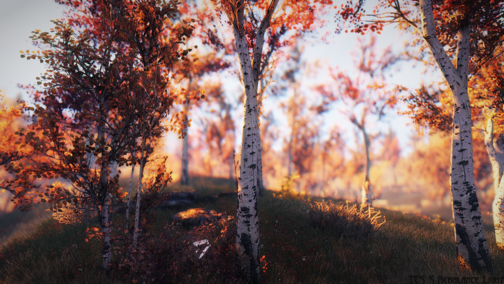 845a3f0d0602.png.webp.png