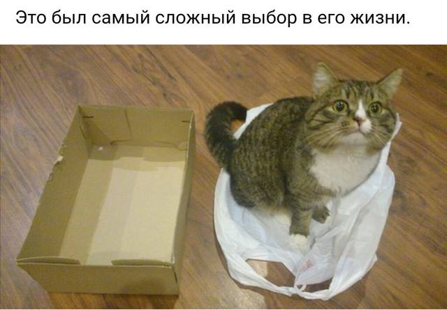 85460221.jpg.jpeg
