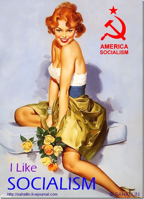876492_original.jpg.jpeg