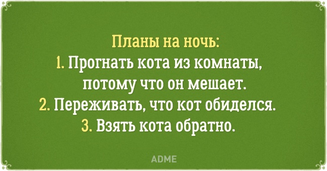 8776815-6-650-a542d8629a-1479204670.jpg.jpeg