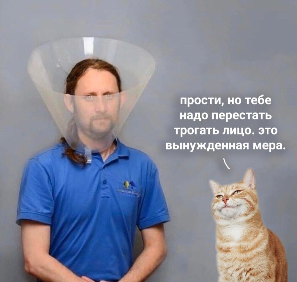 8b30513d79244865d064e5546e69e422.jpg.jpeg