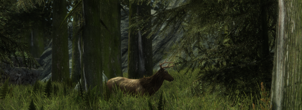 8c37be80718b.png.webp.png
