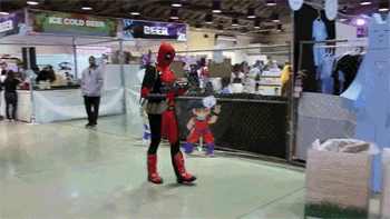 8nY0j5F.gif