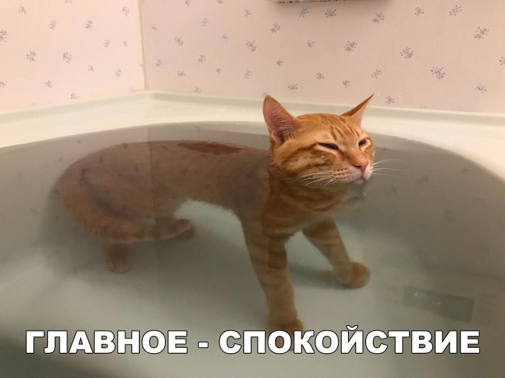 8YxUL0aUMoM.jpg.jpeg