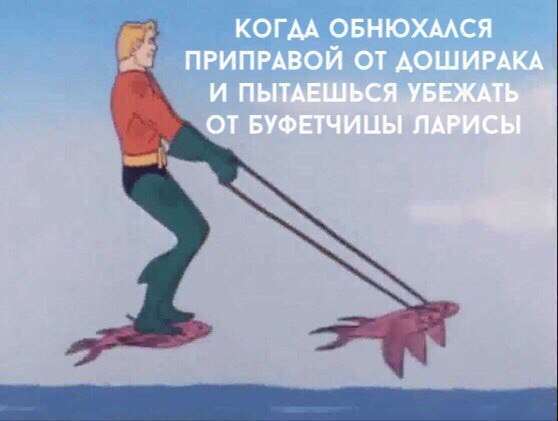 9145098.jpg.jpeg